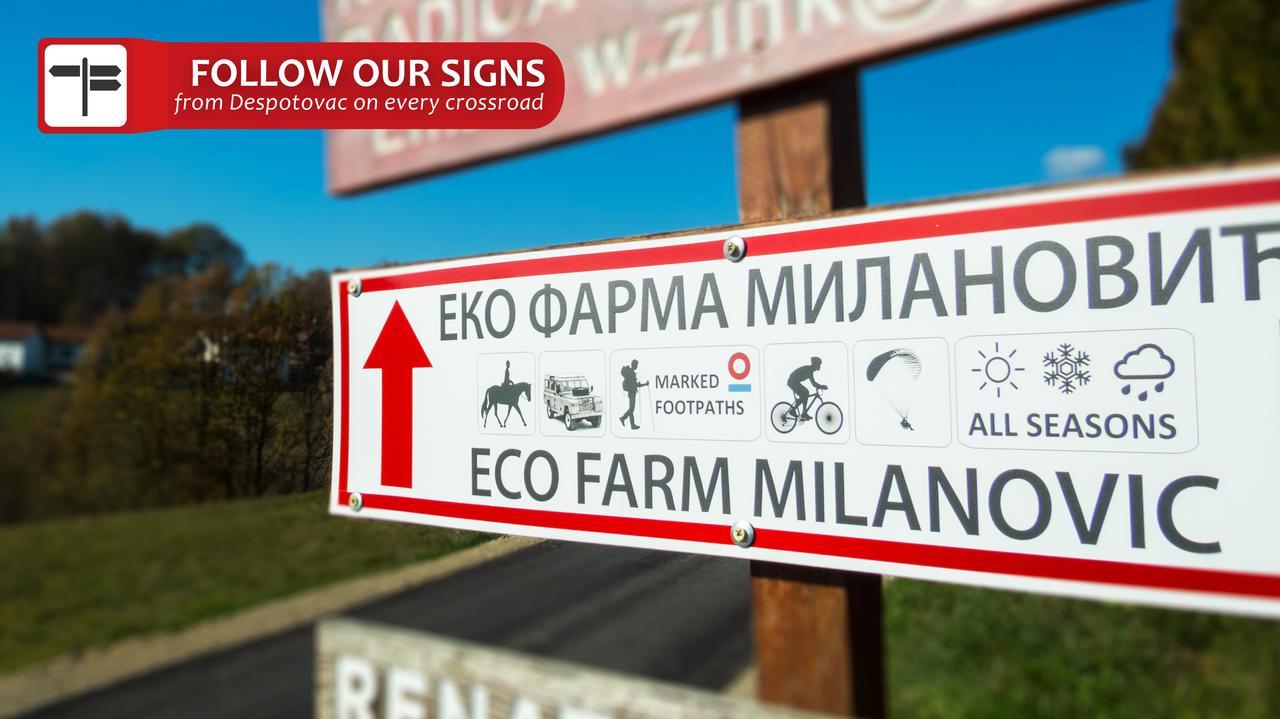 Penzion Eco Farm Milanovic Despotovac Exteriér fotografie